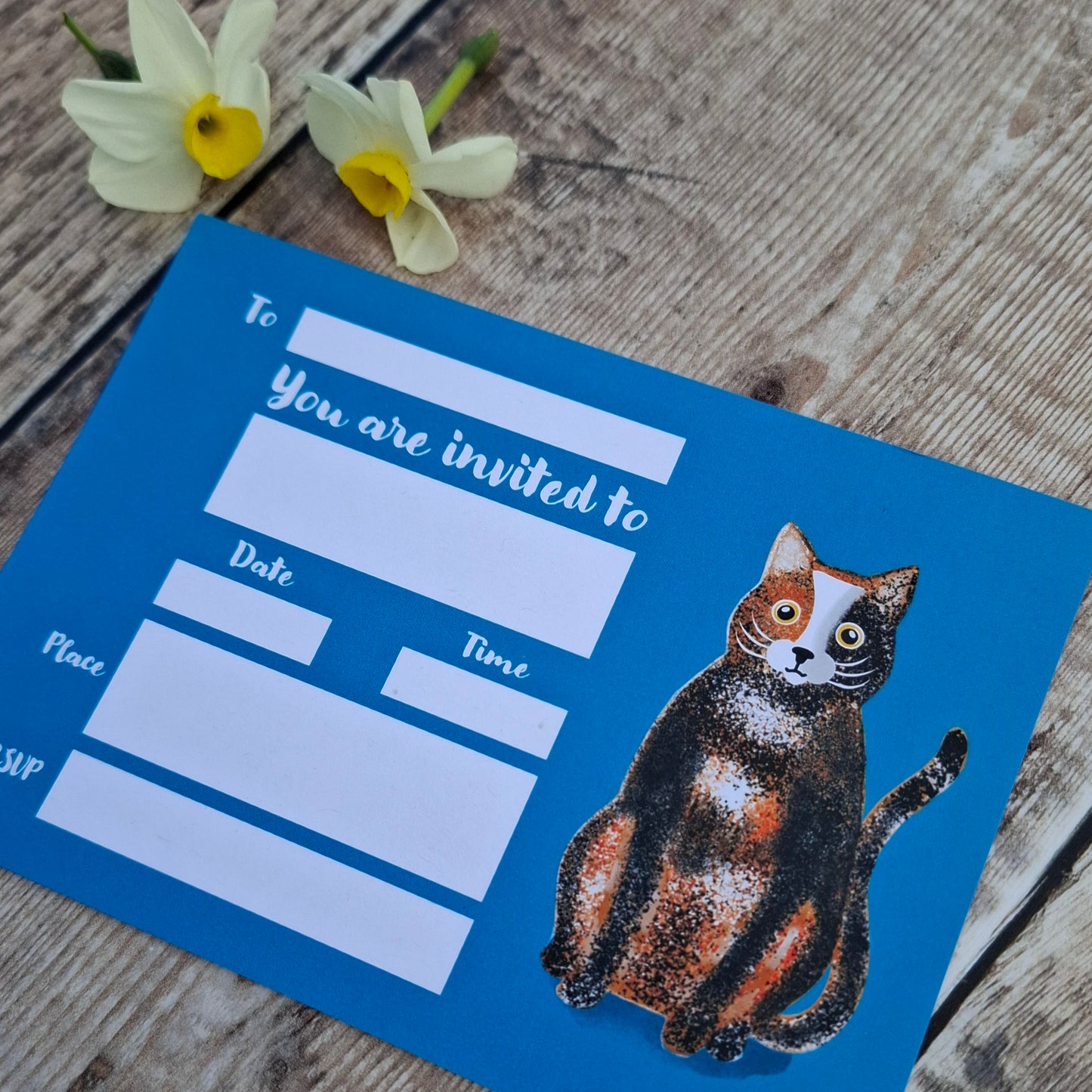 Calico Cat Party/Event invitations - Pack of 5