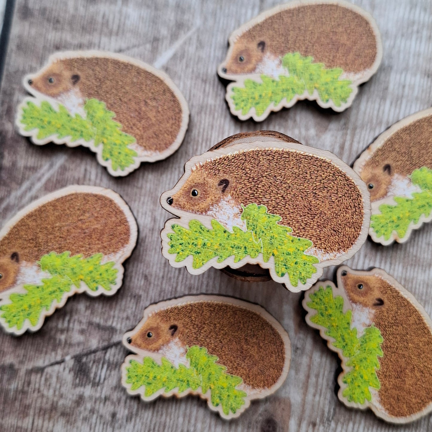 Hedgehog (new design) Wooden Brooch Pin