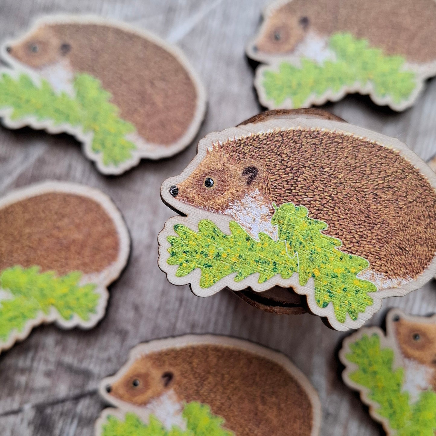 Hedgehog (new design) Wooden Brooch Pin
