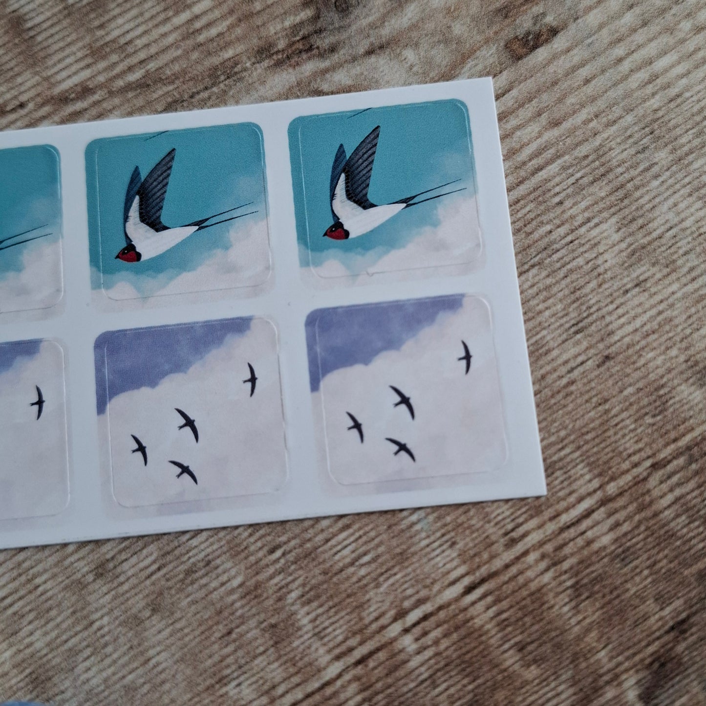 Swifts and Swallows Envelope Stickers - Set of 6