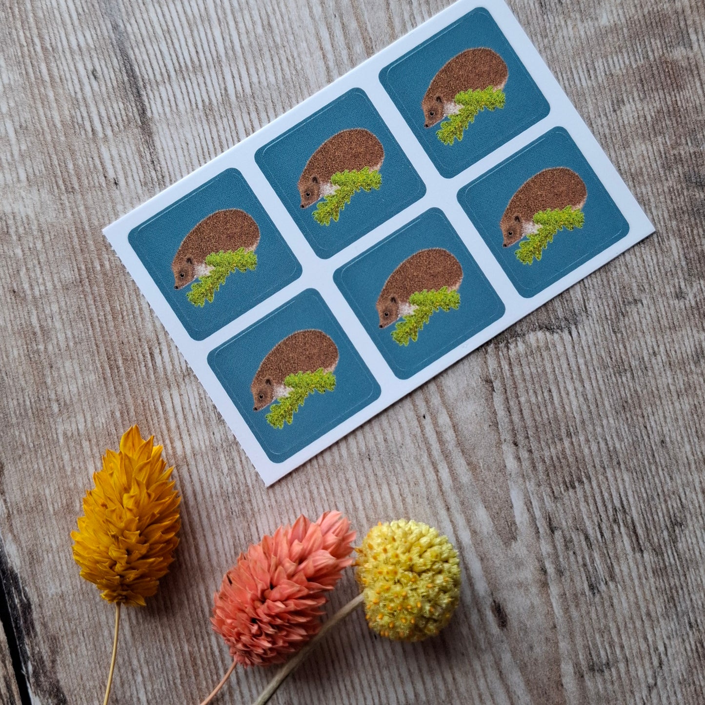 Hedgehog (new design) Envelope Stickers - Set of 6