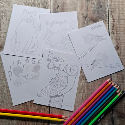 Nature Colouring Sheets - Set of 5