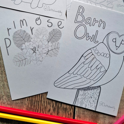 Nature Colouring Sheets - Set of 5