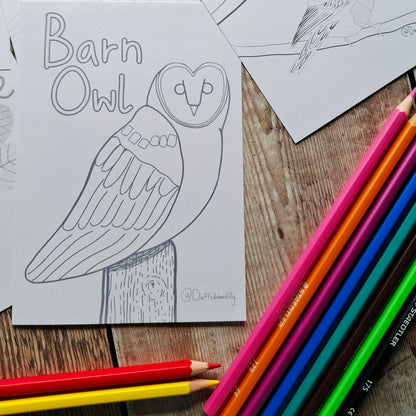 Nature Colouring Sheets - Set of 5