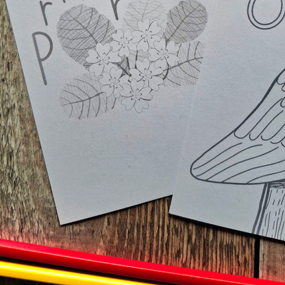 Nature Colouring Sheets - Set of 5