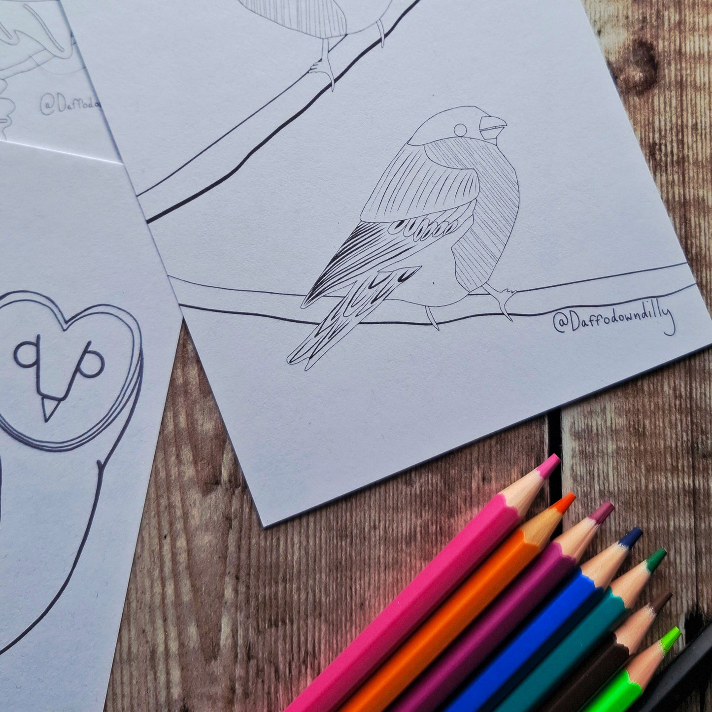 Nature Colouring Sheets - Set of 5
