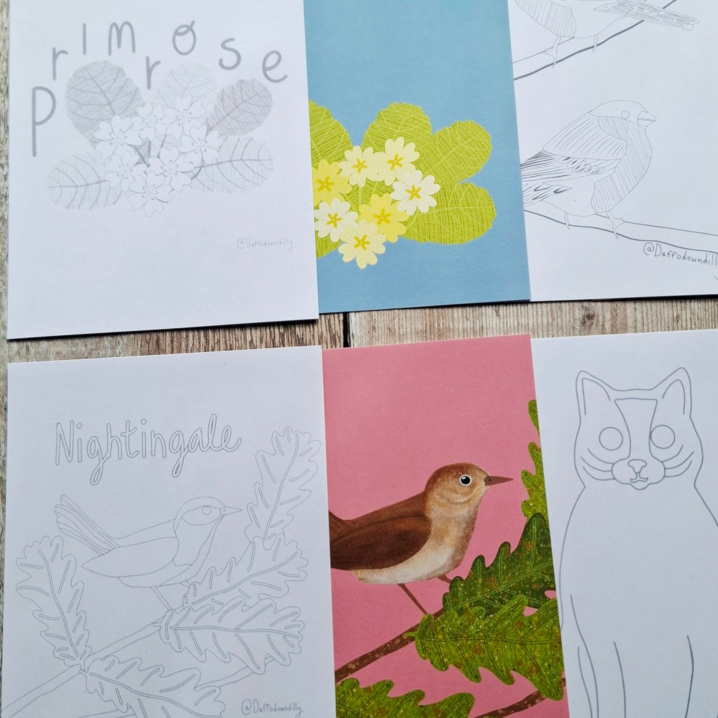 Nature Colouring Sheets - Set of 5