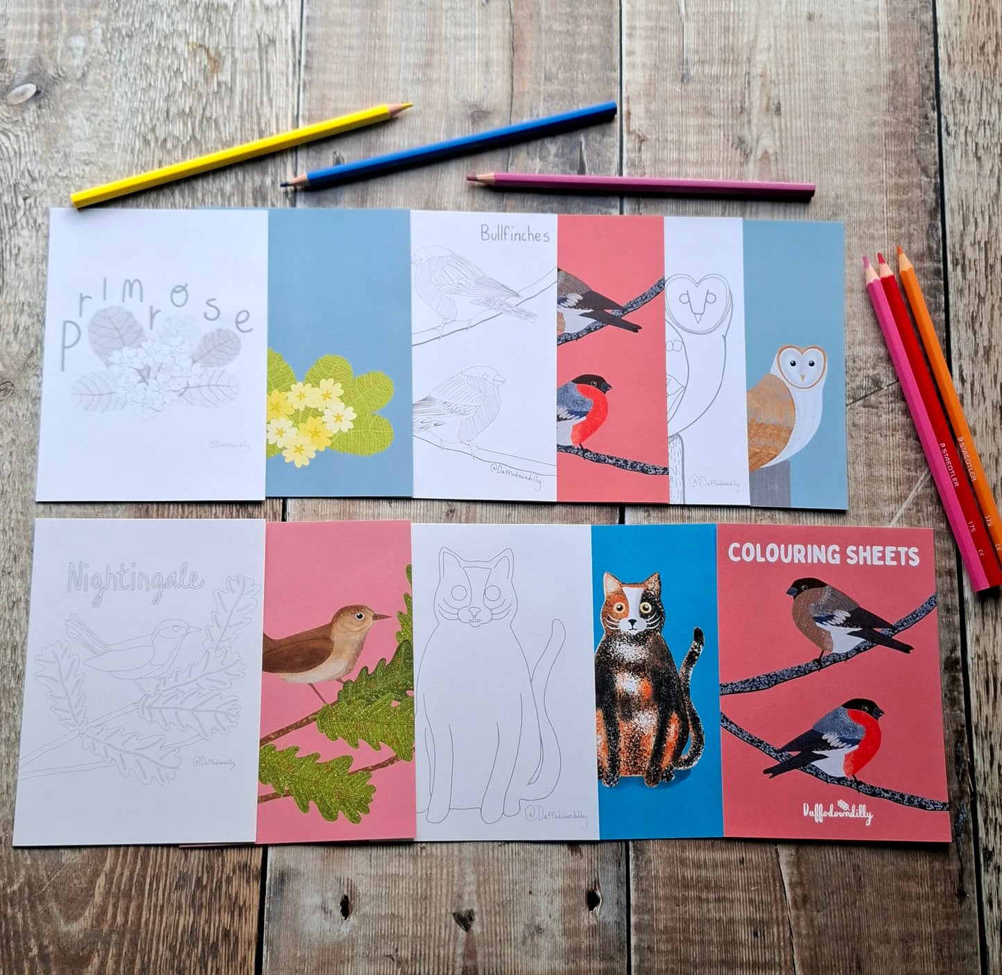 Nature Colouring Sheets - Set of 5