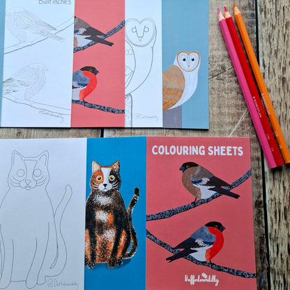 Nature Colouring Sheets - Set of 5