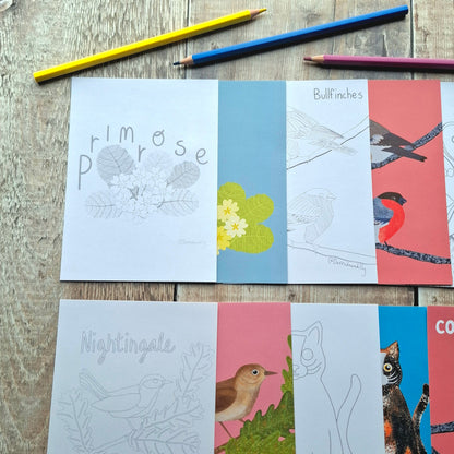 Nature Colouring Sheets - Set of 5