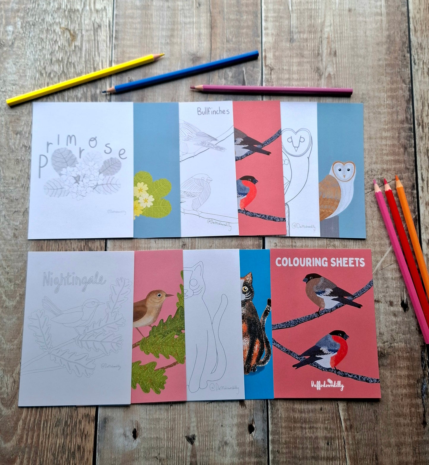 Nature Colouring Sheets - Set of 5