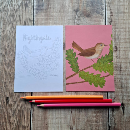 Nature Colouring Sheets - Set of 5