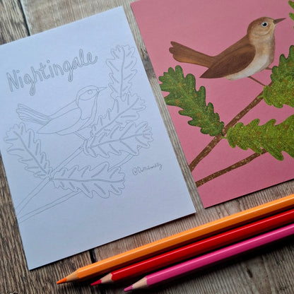 Nature Colouring Sheets - Set of 5