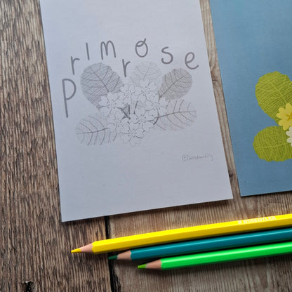 Nature Colouring Sheets - Set of 5