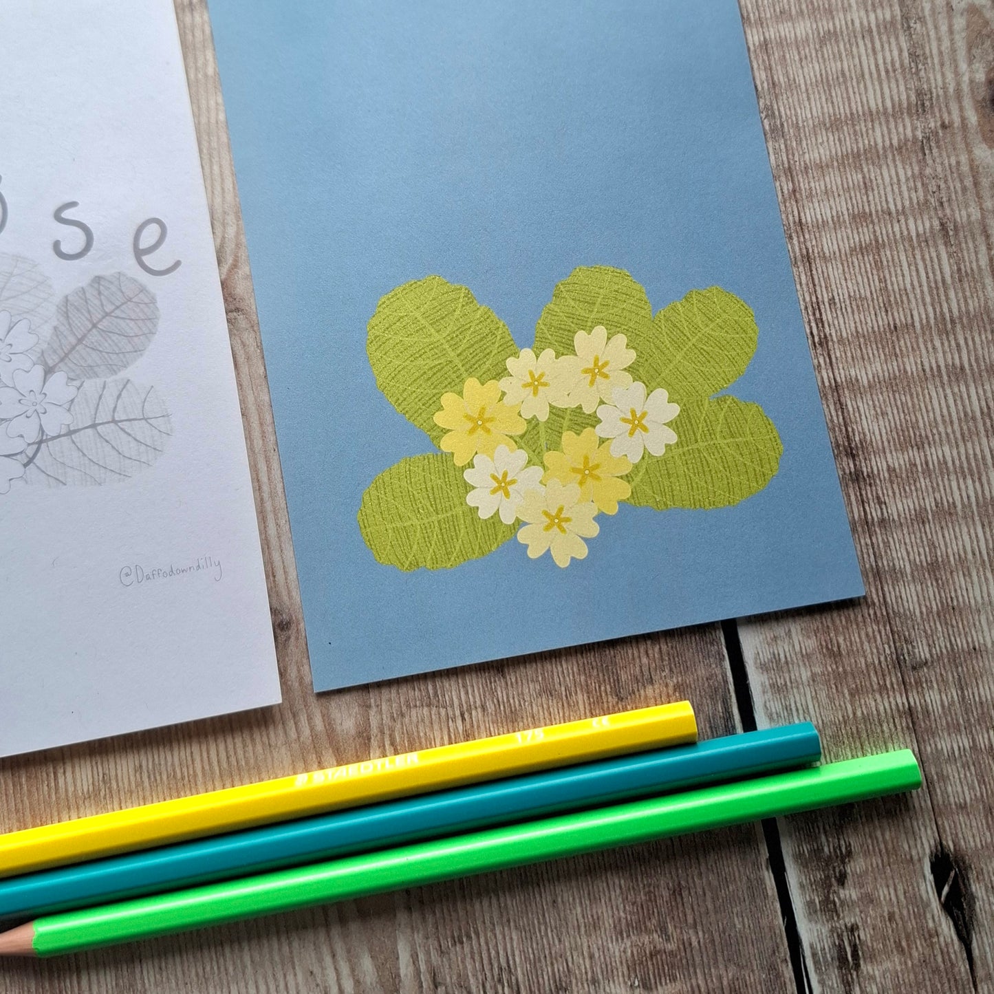 Nature Colouring Sheets - Set of 5