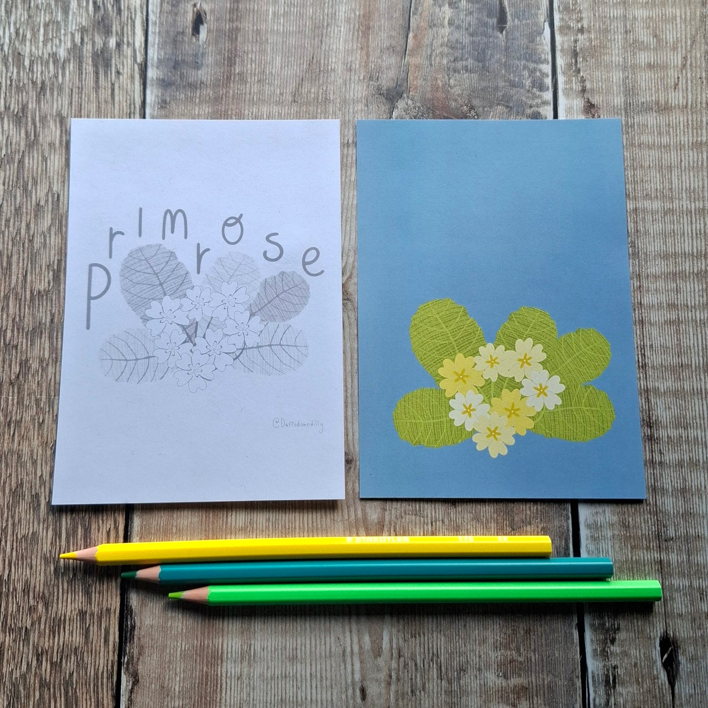 Nature Colouring Sheets - Set of 5