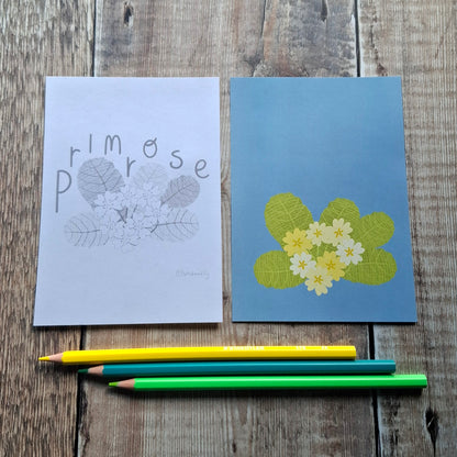 Nature Colouring Sheets - Set of 5