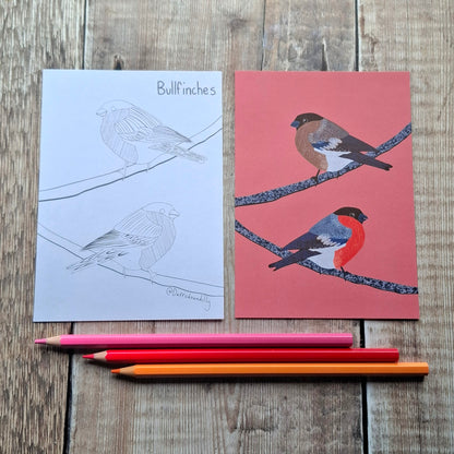 Nature Colouring Sheets - Set of 5