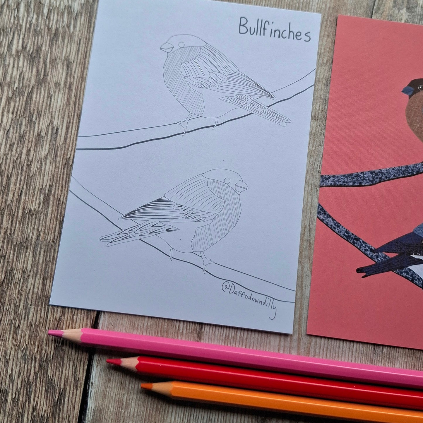 Nature Colouring Sheets - Set of 5