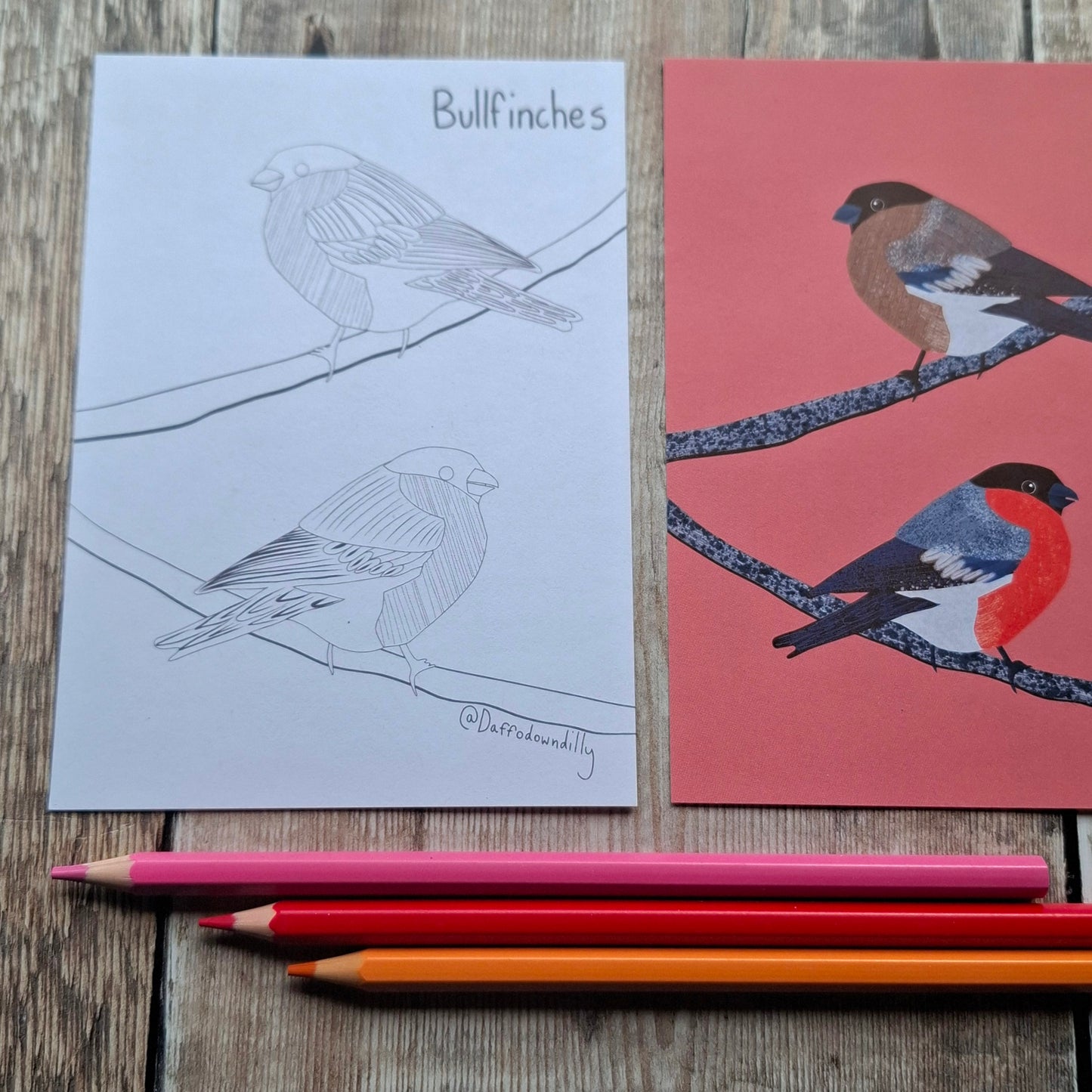 Nature Colouring Sheets - Set of 5