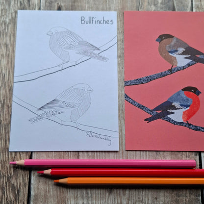 Nature Colouring Sheets - Set of 5
