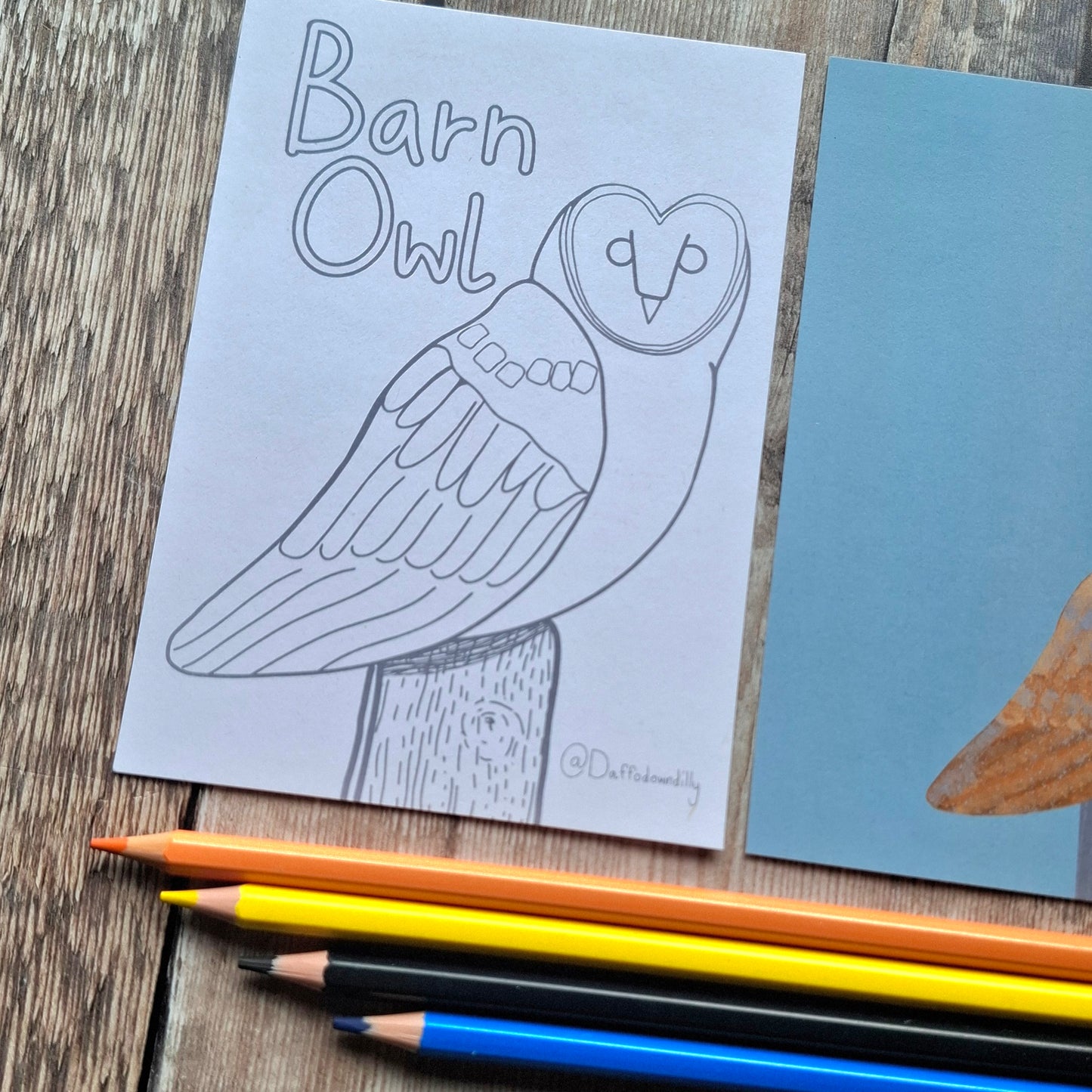 Nature Colouring Sheets - Set of 5