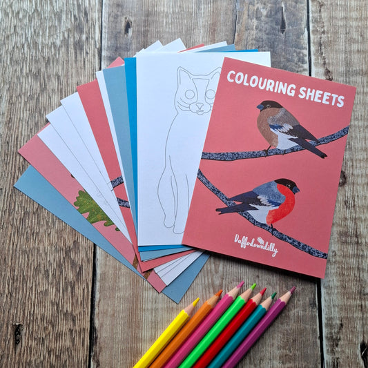 Nature Colouring Sheets - Set of 5