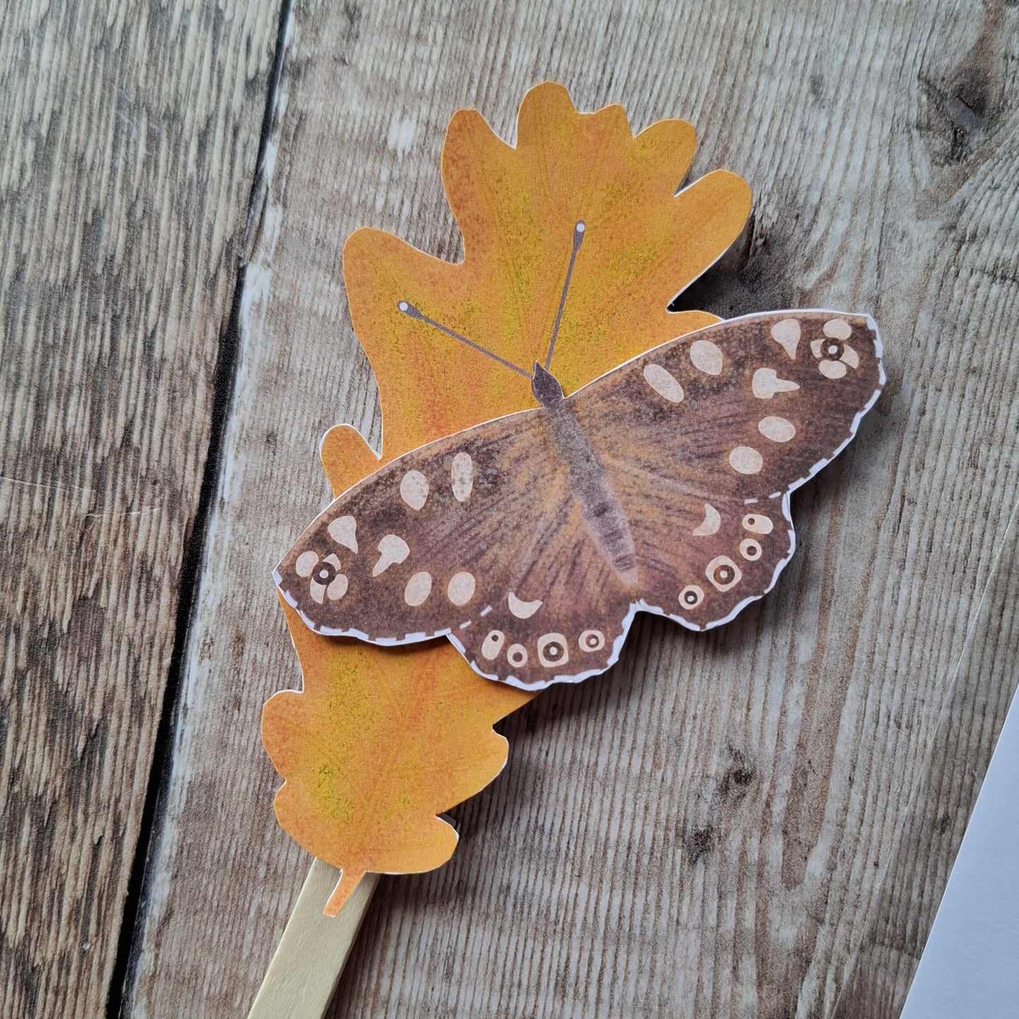 Speckled Wood Butterfly Stick Puppet Kit