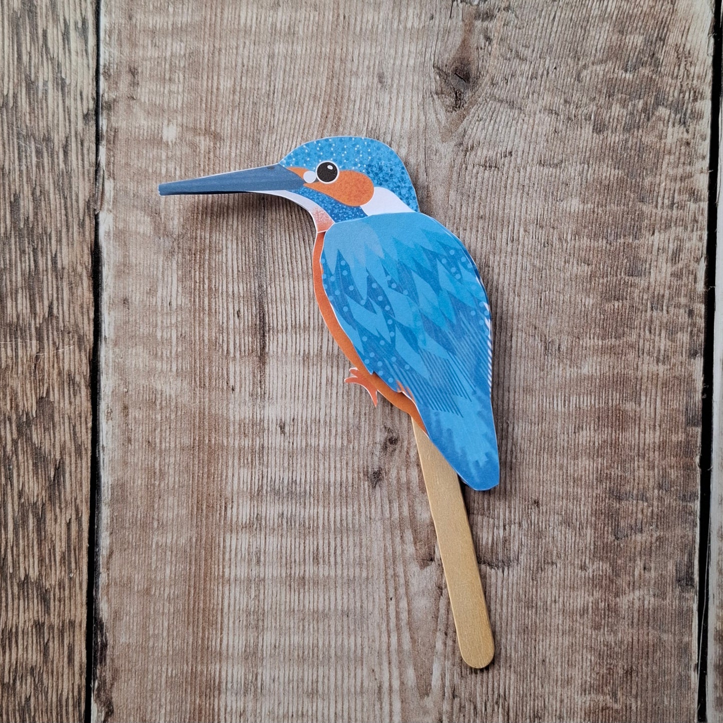 Kingfisher Stick Puppet Kit