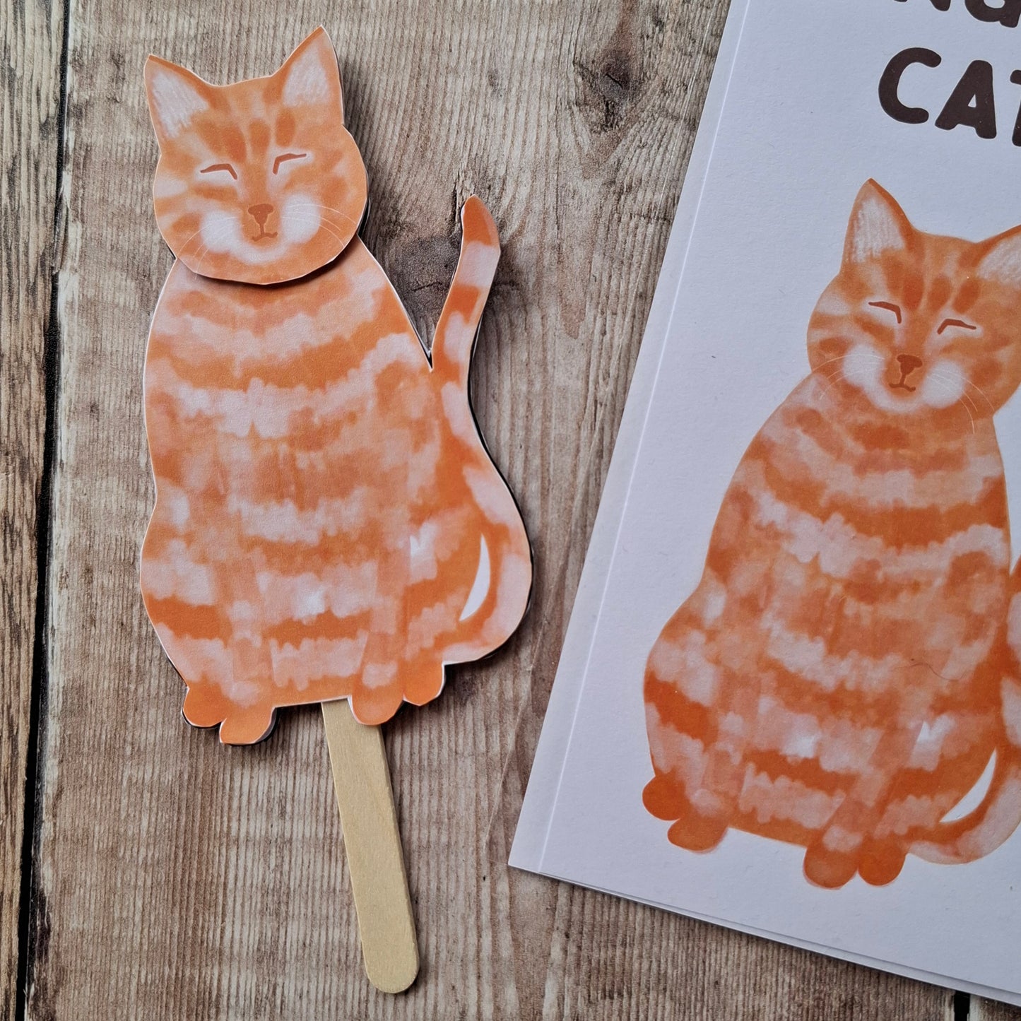 Ginger Cat Stick Puppet Kit