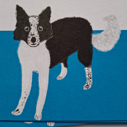 Border Collie Gift Notes