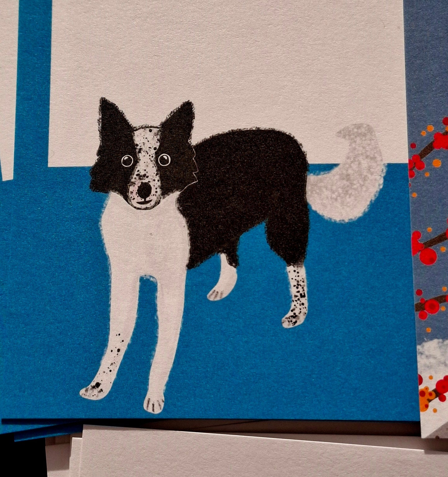Border Collie Gift Notes
