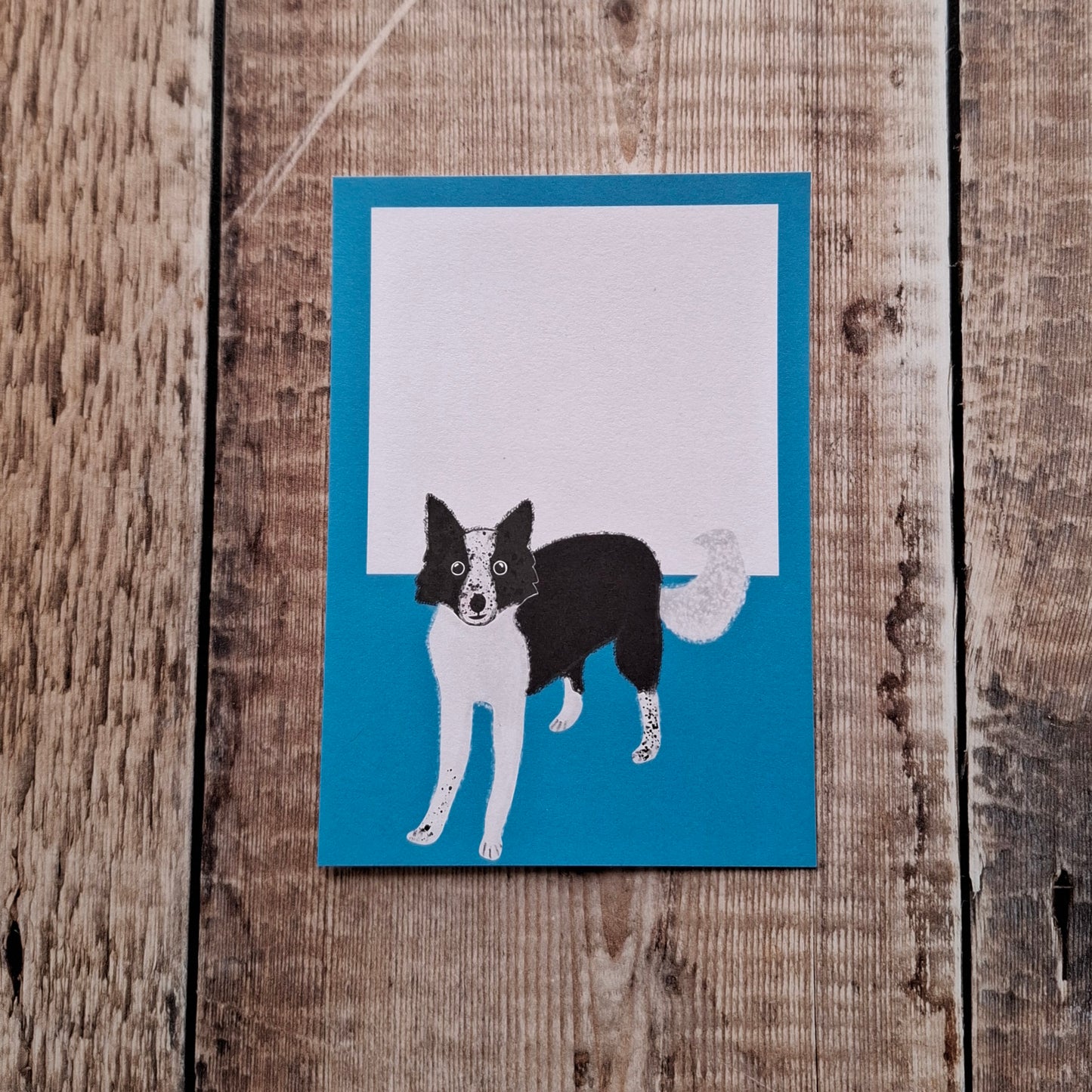 Border Collie Gift Notes