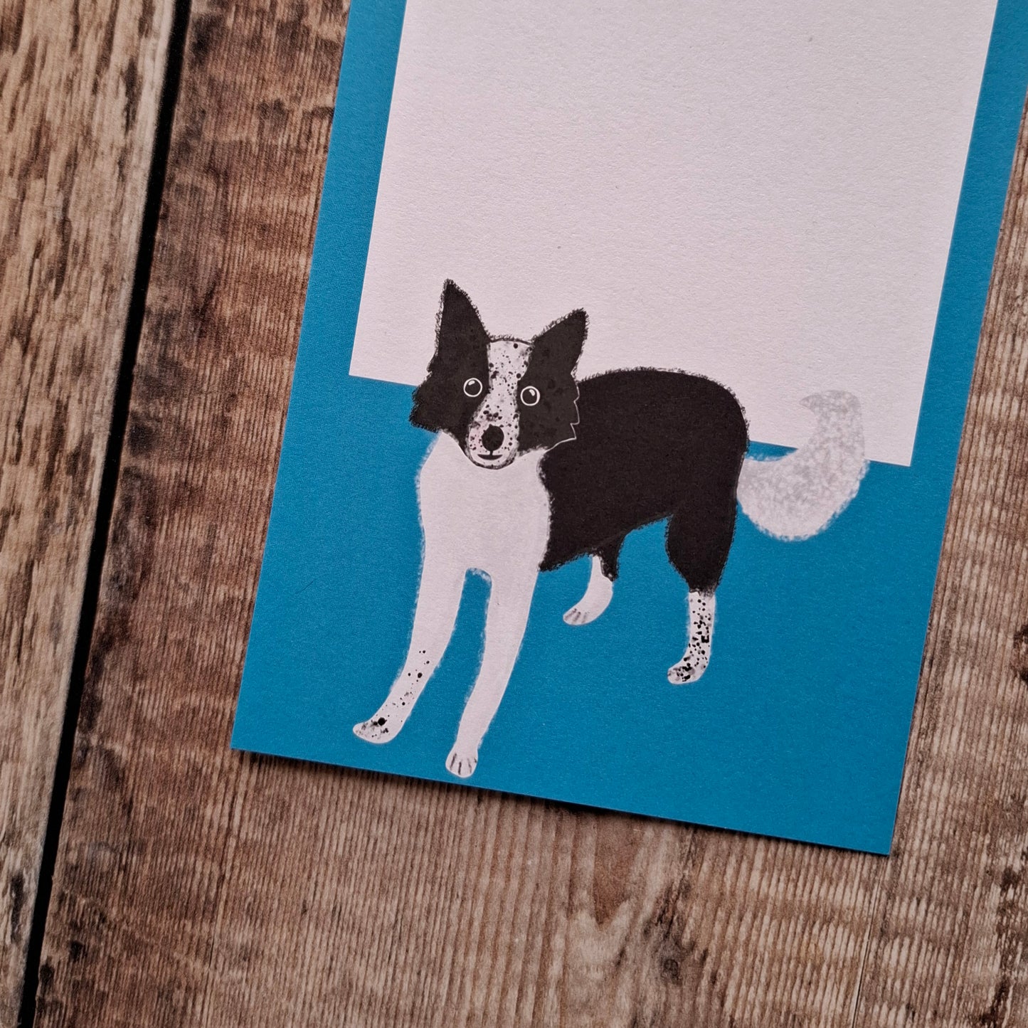 Border Collie Gift Notes