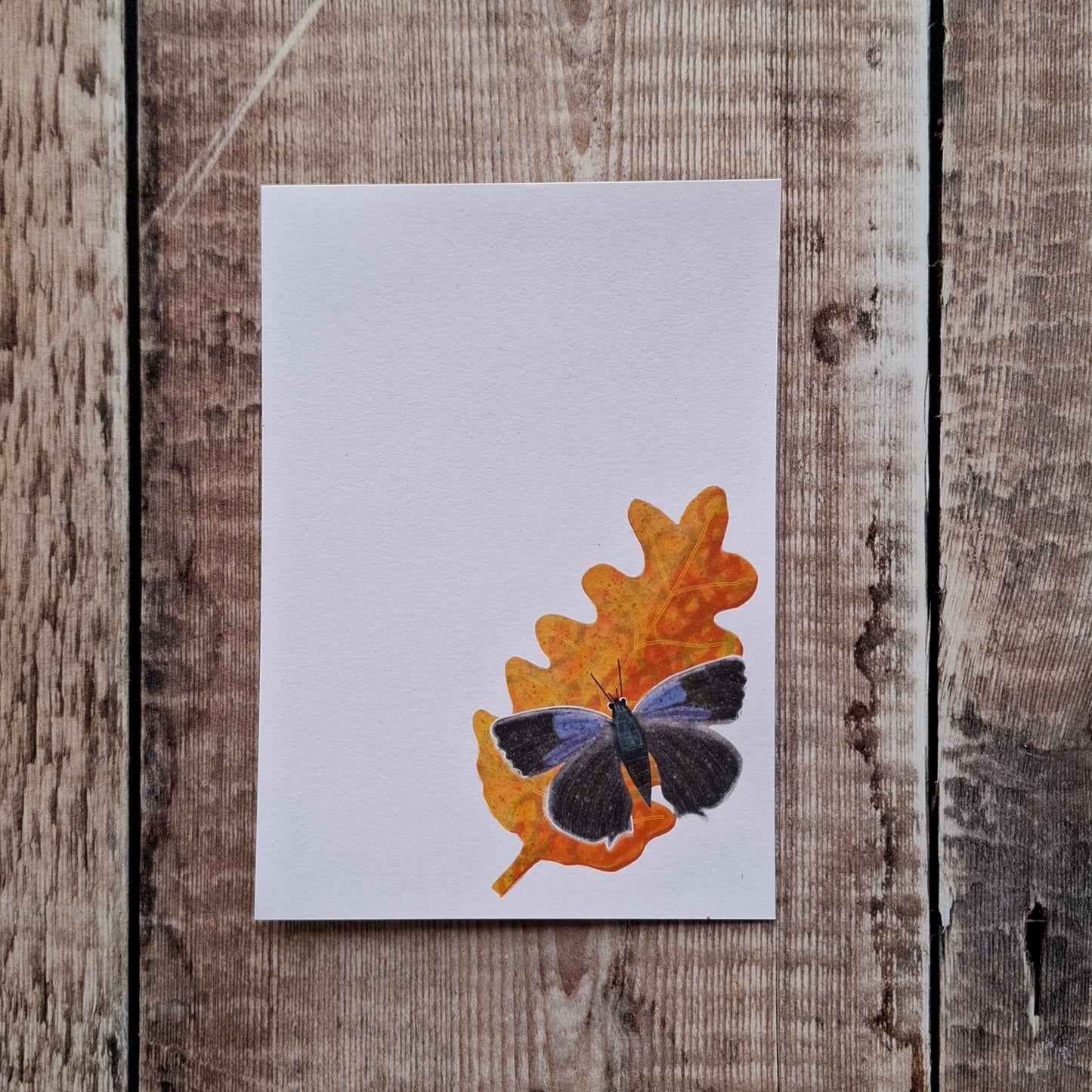 Purple Hairstreak Butterfly Gift Notes