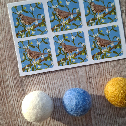 Mistle Thrush Envelope Stickers - Set of 6