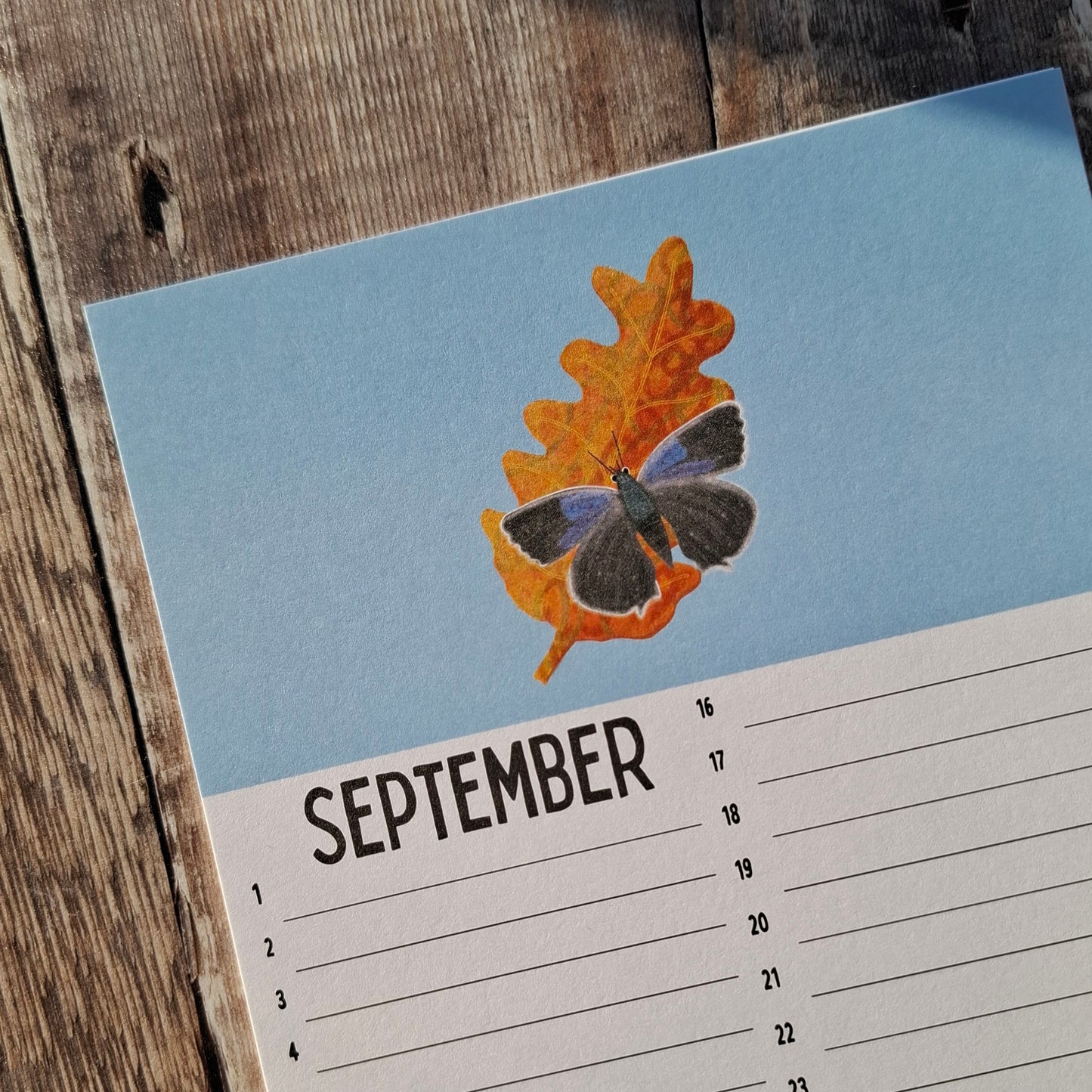 Calendar Sheets (new for 2026)