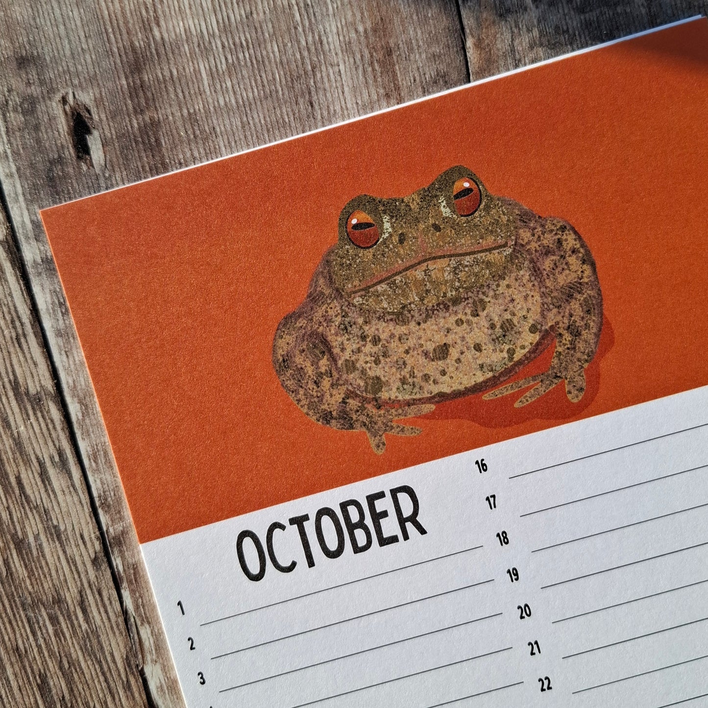 Calendar Sheets (new for 2026)