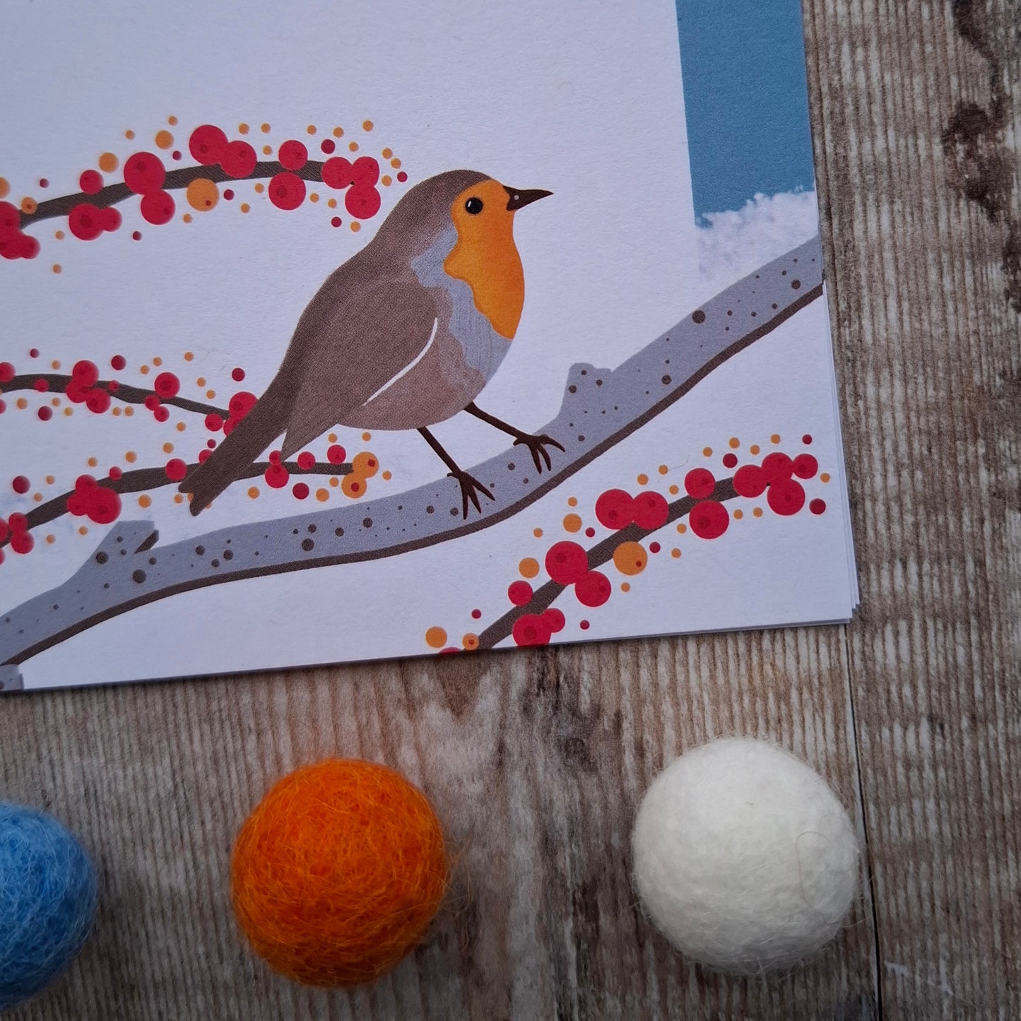 Winter Robin Gift Notes