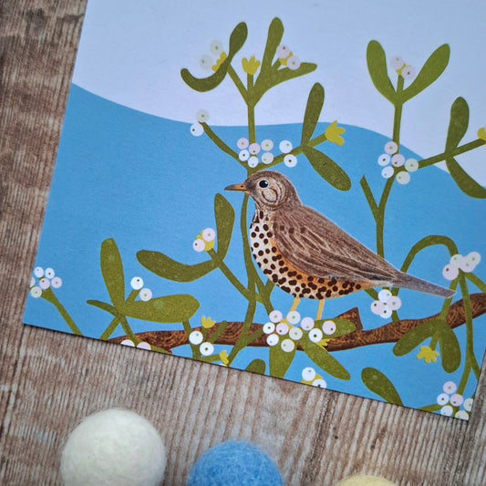 Mistle Thrush Gift Notes