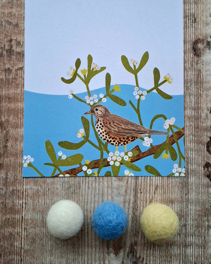 Mistle Thrush Gift Notes