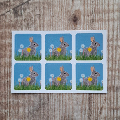 Rabbit Kit Envelope Stickers - Set of 6
