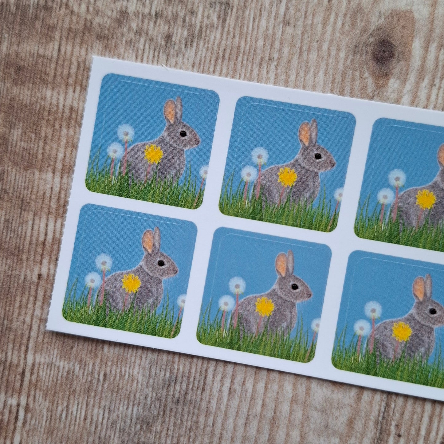 Rabbit Kit Envelope Stickers - Set of 6
