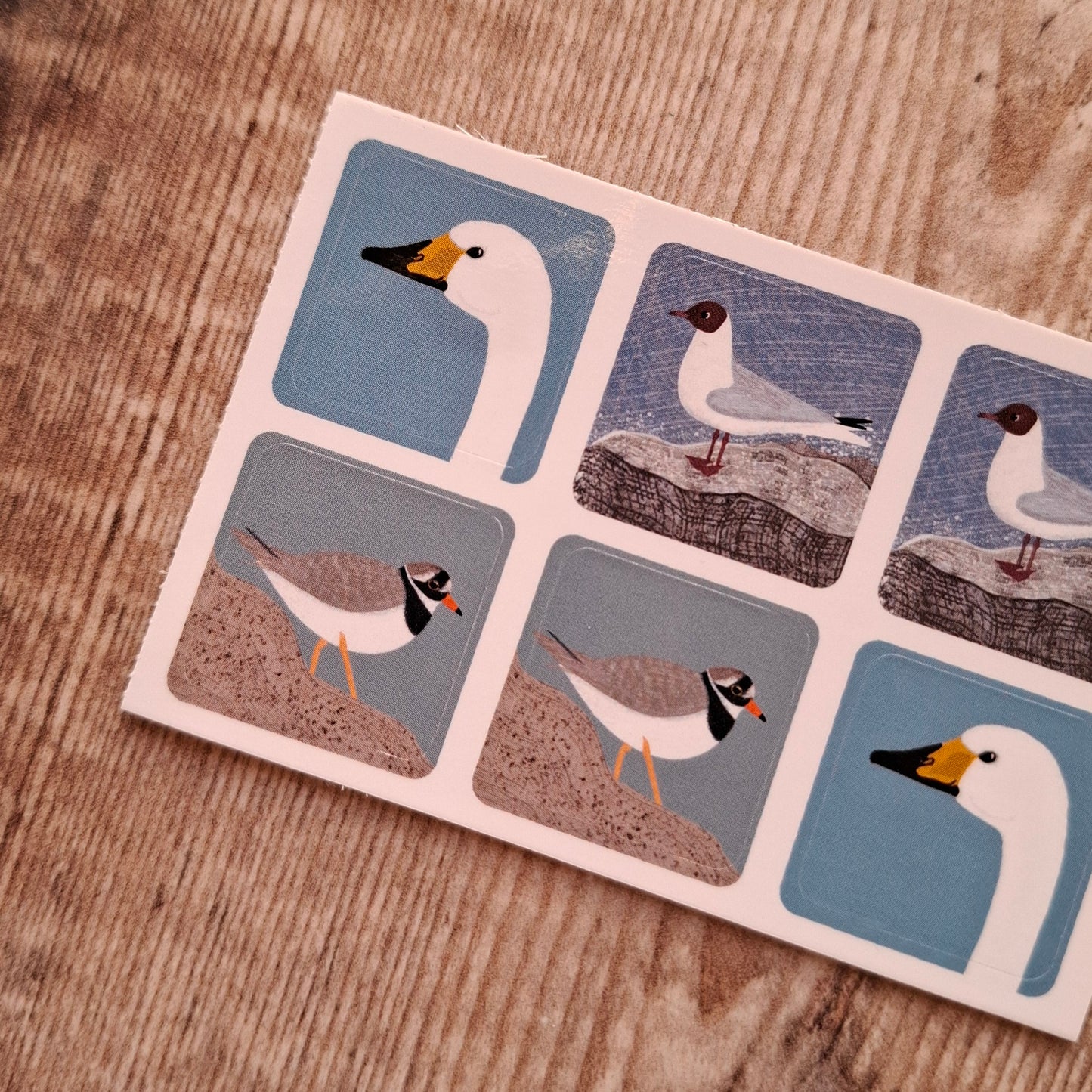 More Waterbirds Envelope Stickers - Set of 6