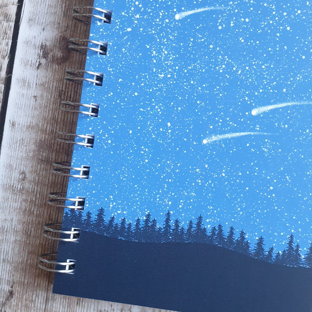Meteor Notebook