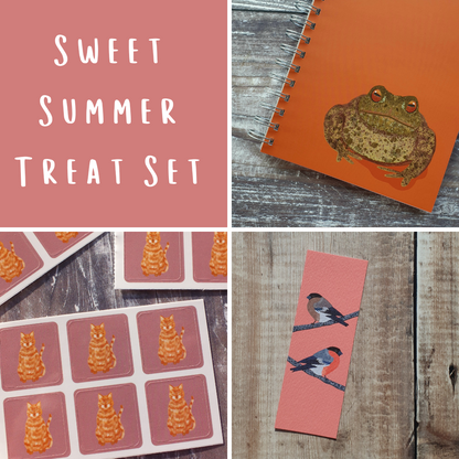 Sweet Summer Treat Set