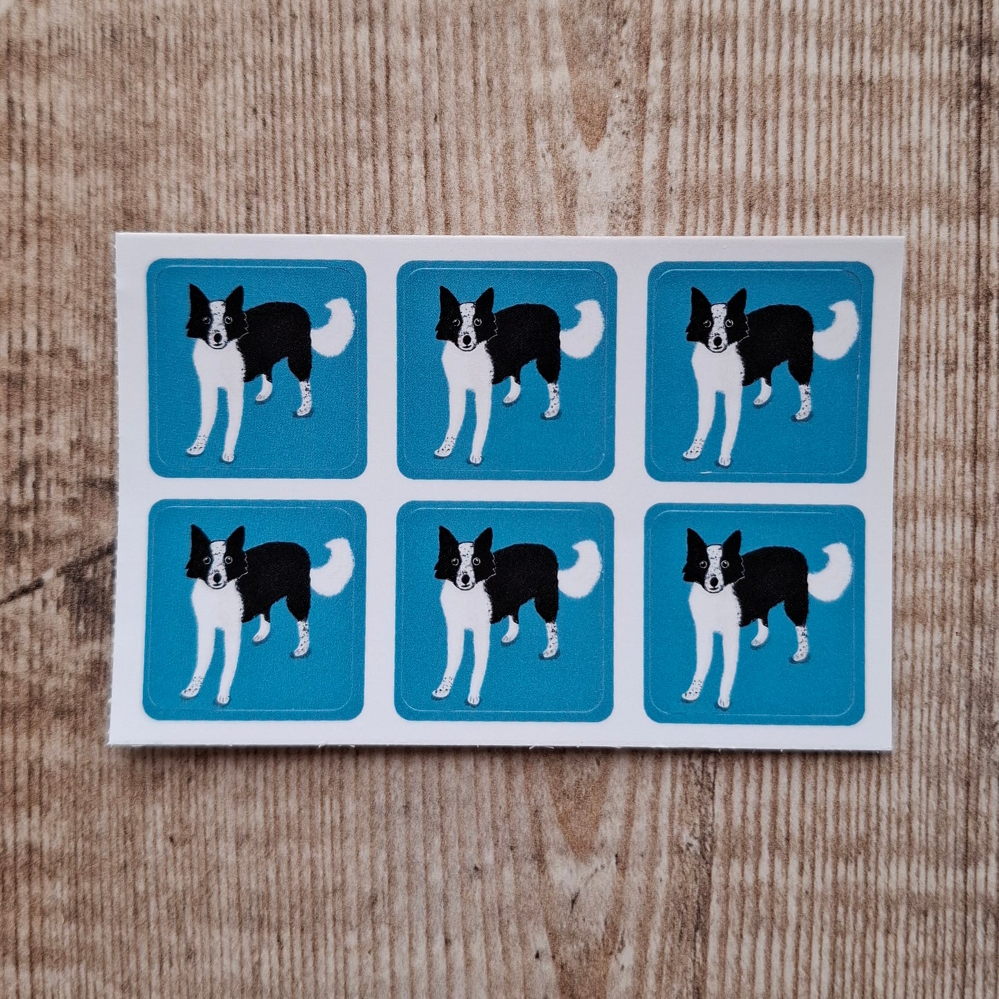 Border Collie Dog Envelope Stickers - Set of 6