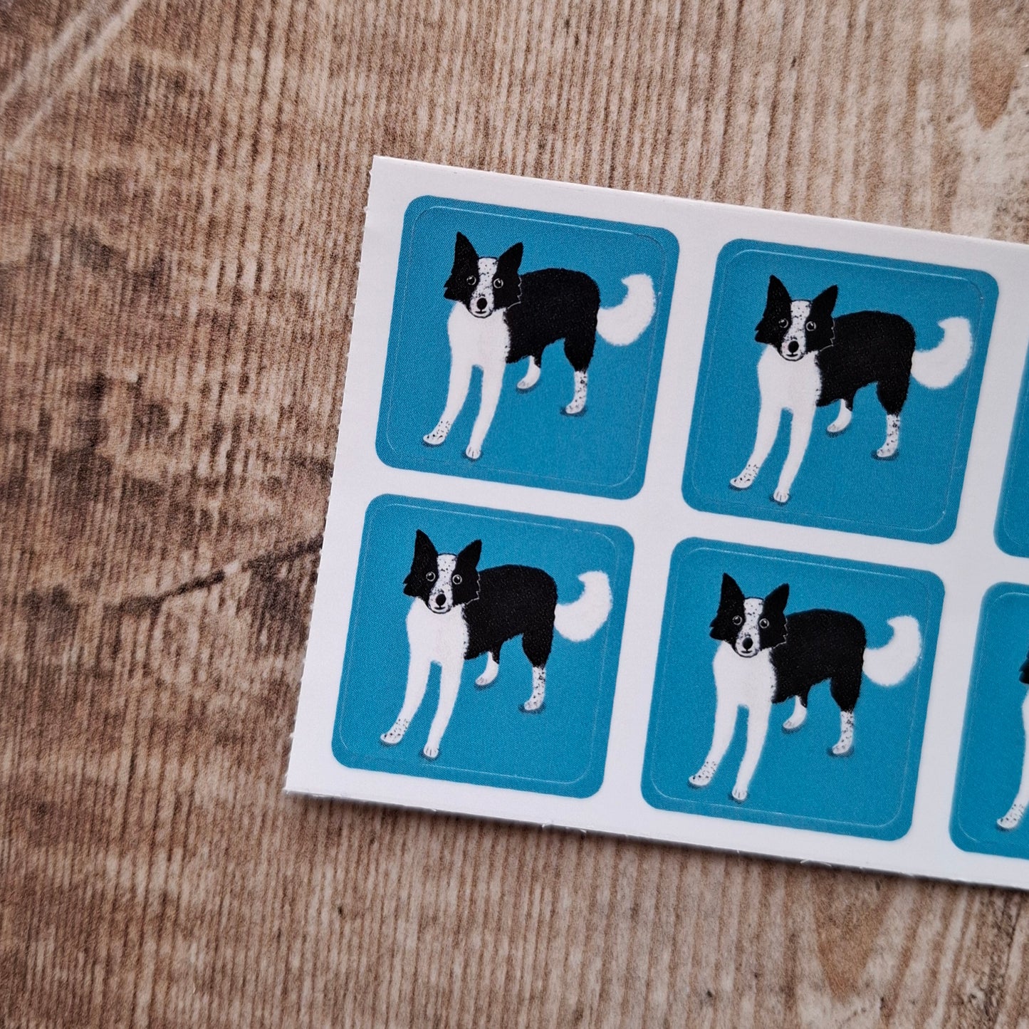 Border Collie Dog Envelope Stickers - Set of 6