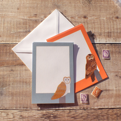 Owls Mini Notes Writing Set