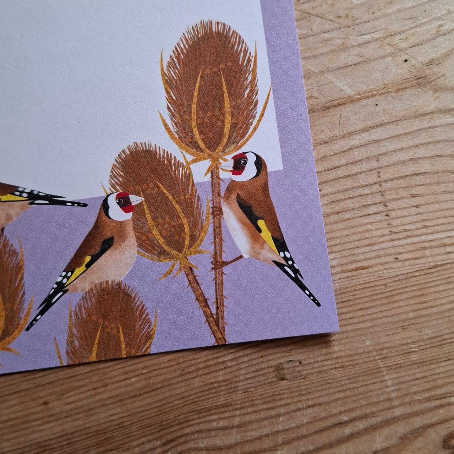 Goldfinches Gift Notes